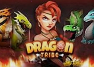 Dragon Tribe нетлам